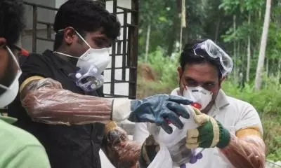 The Lancet study shows new Nipah virus vaccine safe, generates immune response The Lancet study shows new Nipah virus vaccine safe, generates immune response