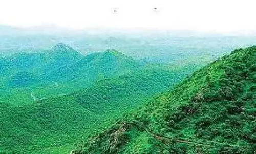 aravalli