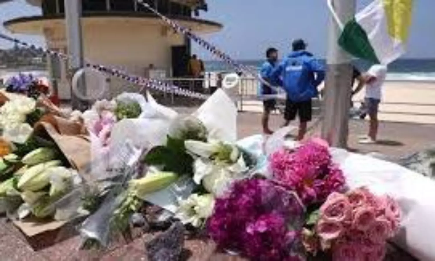 Bondi beach terror attack