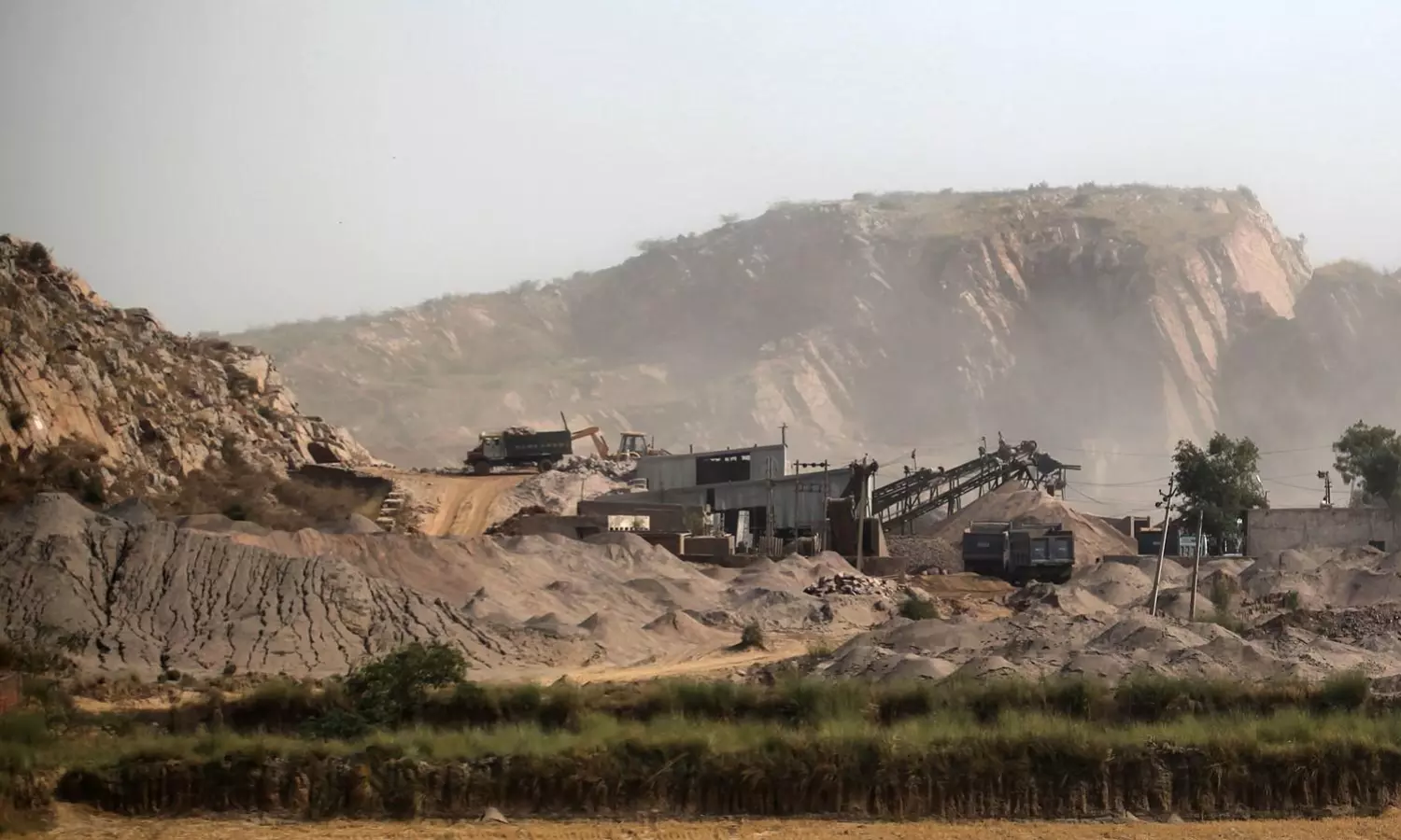 FSI refutes media reports on Aravalli protection, says no study found 90% of hills at risk