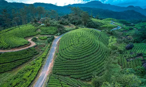 List of Indian cities with clean air released; Munnar in Kerala makes the cut List of Indian cities with clean air released; Munnar in Kerala makes the cut