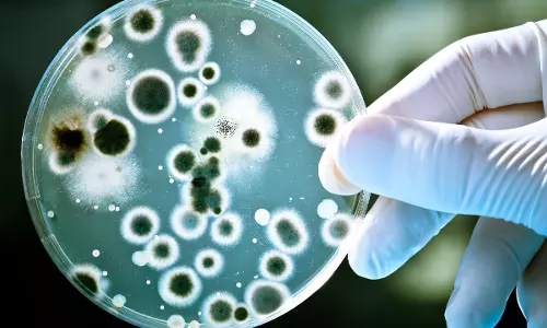 Study warns of high levels of antibiotic-resistant superbugs in Delhi air Study warns of high levels of antibiotic-resistant superbugs in Delhi air