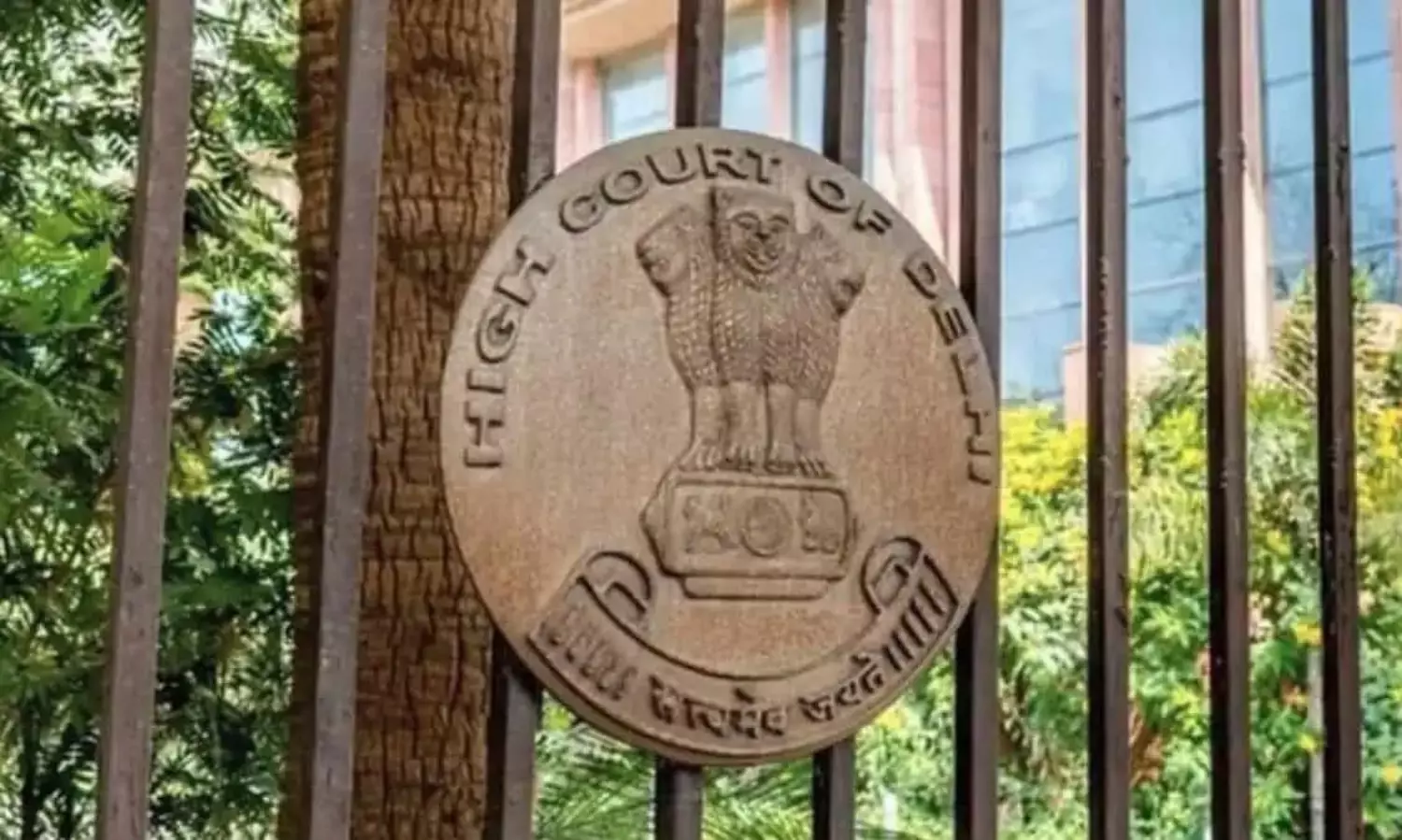 Delhi HC bans construction near Yamuna dargah, orders eviction of residents