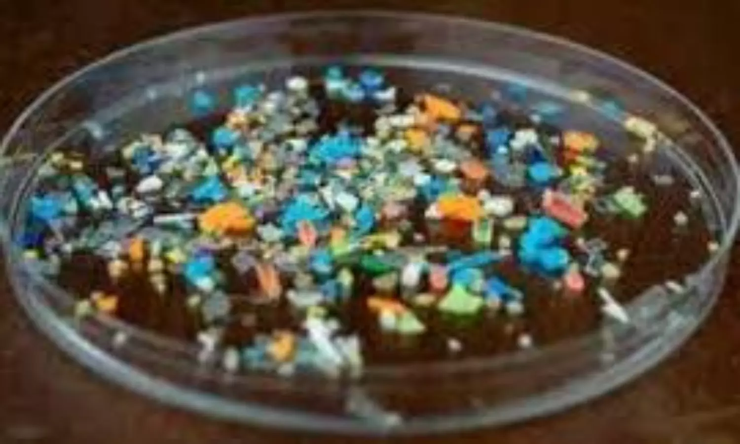 virus on microplastic