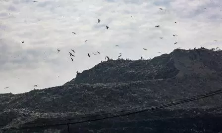 Delhi processes only 64% of daily waste; rest dumped at Bhalswa, Ghazipur landfills: CPCB tells NGT