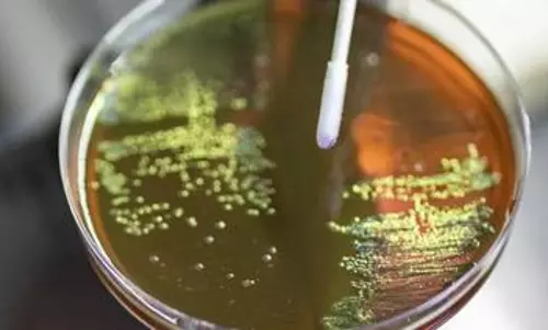 Study finds antibiotic use during pregnancy raise risk of bacterial disease in babies