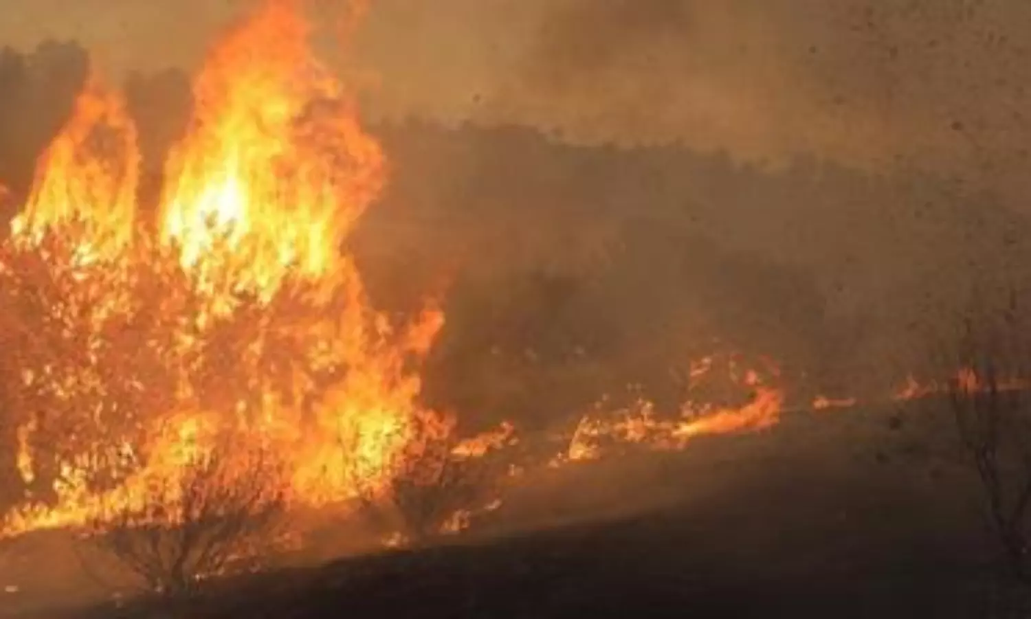 Victoria’s bushfires rage on destroying more than 100 buildings, burning 300,000 hectares