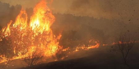 Victoria’s bushfires rage on destroying more than 100 buildings, burning 300,000 hectares