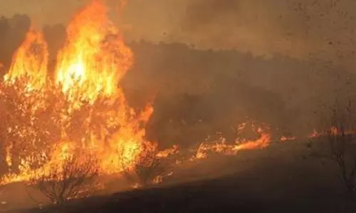 Victoria’s bushfires rage on destroying more than 100 buildings, burning 300,000 hectares Victoria’s bushfires rage on destroying more than 100 buildings, burning 300,000 hectares