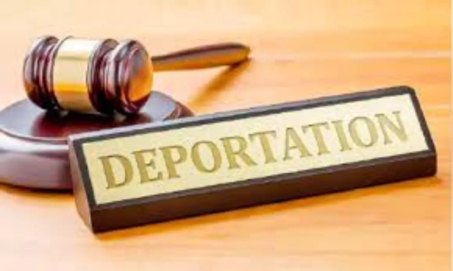 US court orders return of wrongfully deported Indian
