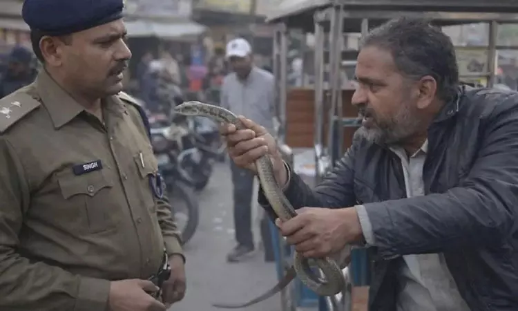 Man brings snake in pocket to Mathura hospital after being bitten