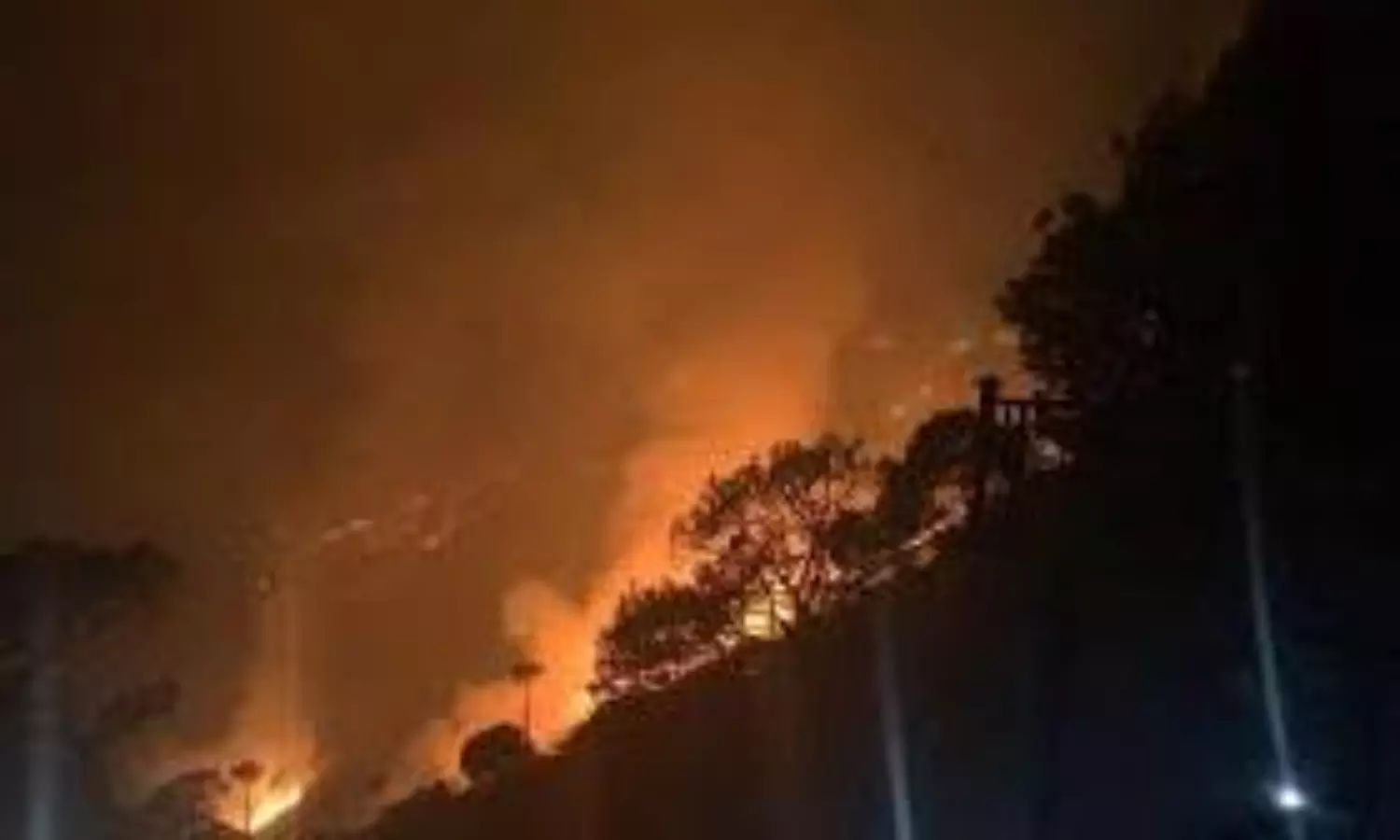 forest fire in Kashmir