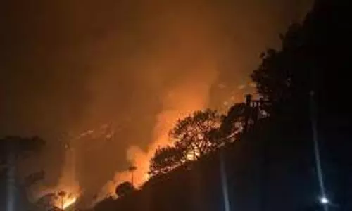 forest fire in Kashmir