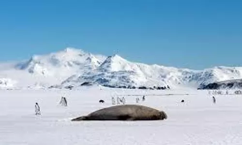 Antarctica