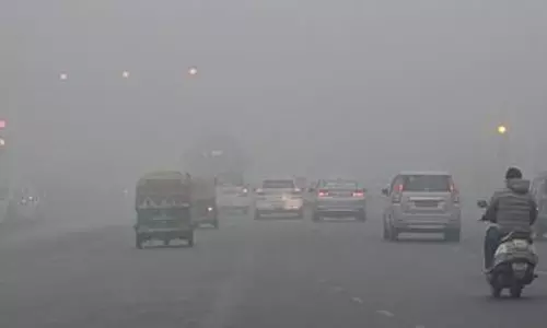Cold wave, dense fog tighten grip over Delhi as capital suffocates