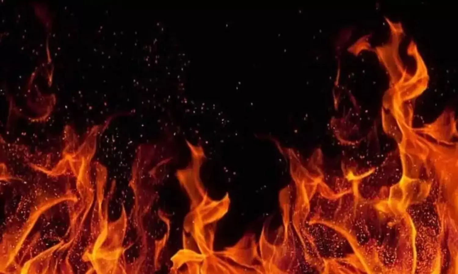 Three killed, ten injured in fiery bus-lorry collision in Andhra Pradesh