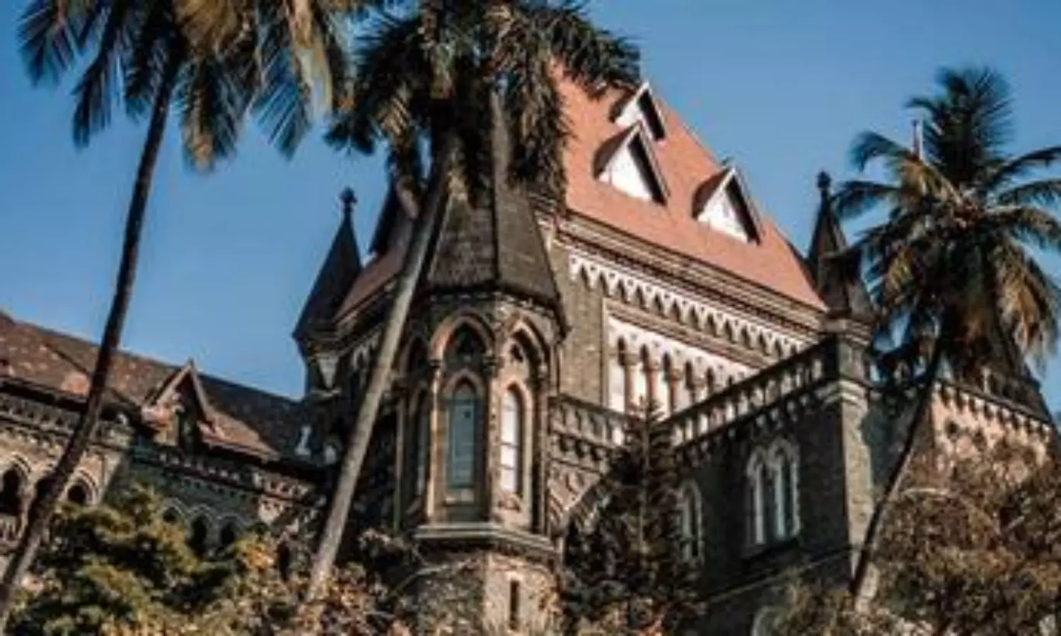 UK doctor files plea against FIR for social media post; Bombay HC seeks state’s response