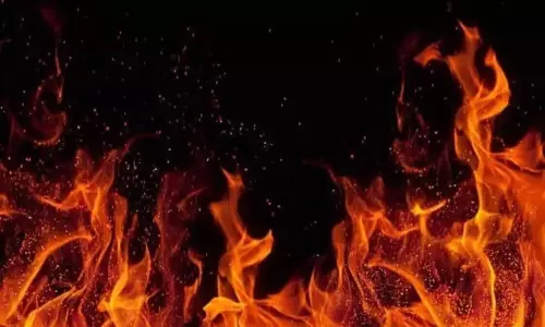 Three killed, ten injured in fiery bus-lorry collision in Andhra Pradesh