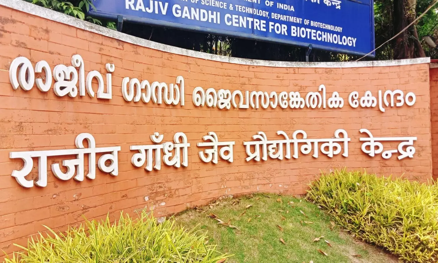 Centre for Biotechnology in Kerala identifies new neural stem cells