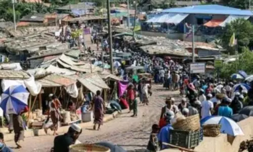 Rohingya people called ‘Muslim dogs’ before attacks: ICJ hearing Rohingya people called ‘Muslim dogs’ before attacks: ICJ hearing