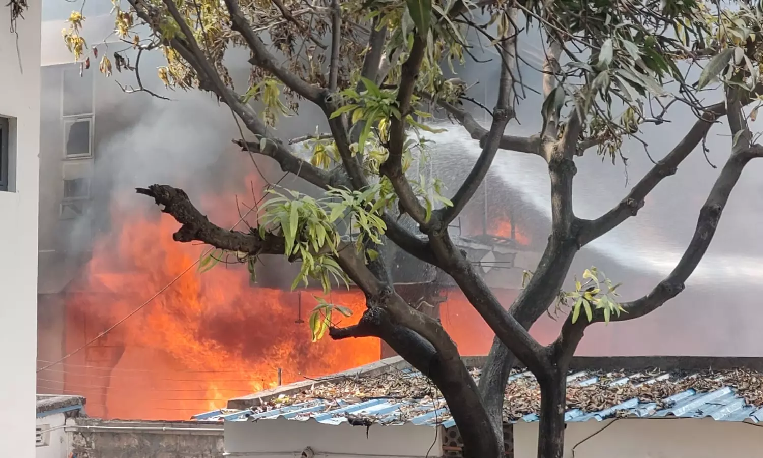 Hyderabad: 5 killed in tragic fire at furniture shop in Nampally