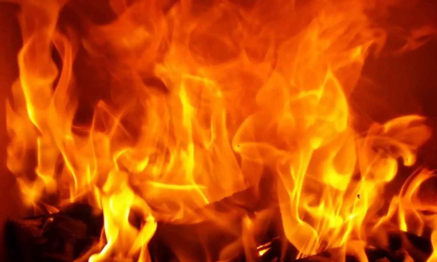 Massive fire at Kolkata dry food warehouse, 6 feared trapped