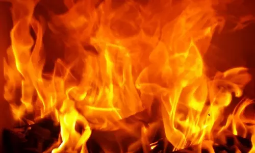 Massive fire at Kolkata dry food warehouse, 6 feared trapped