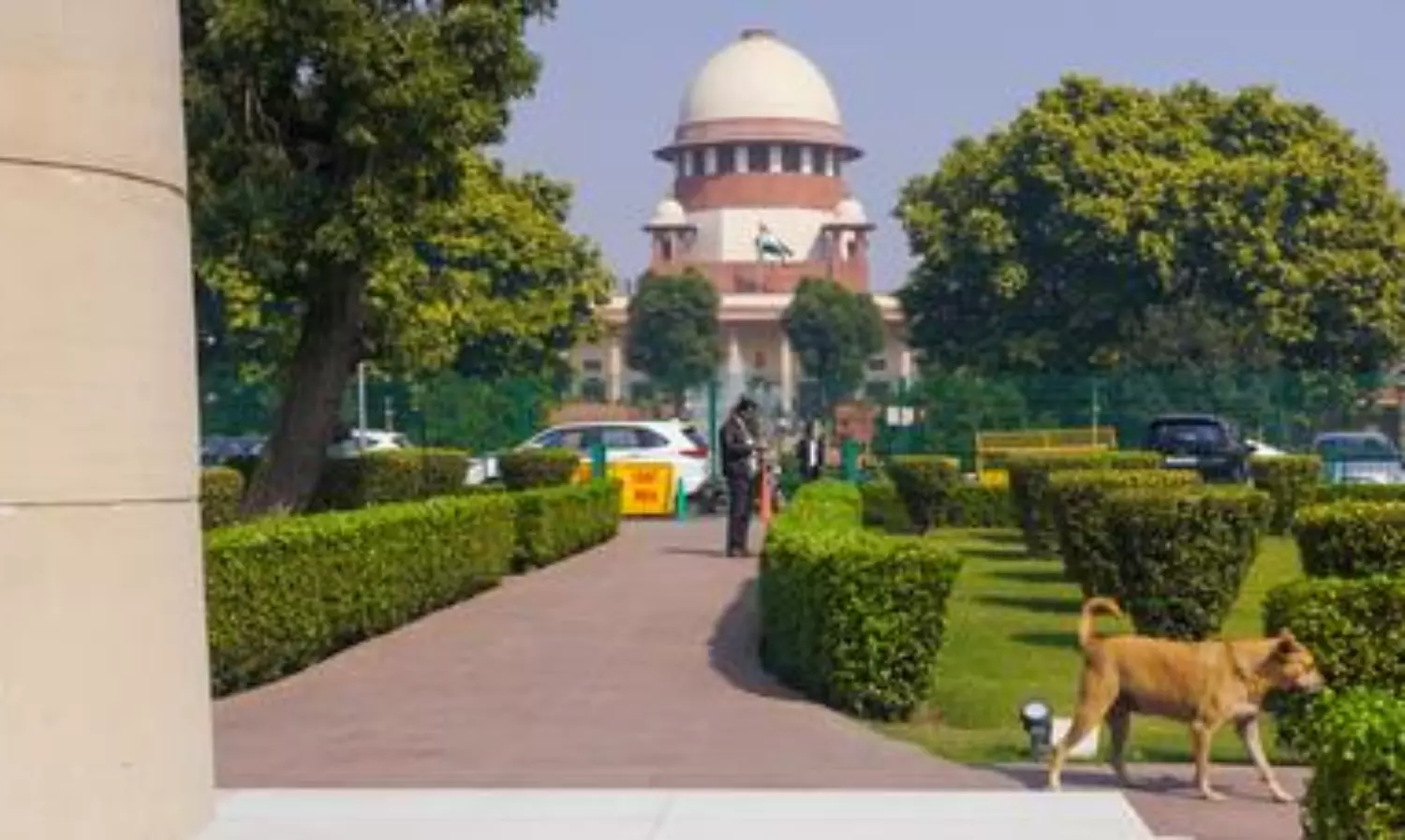 SIR: SC reserves verdict on pleas against SIR across several states