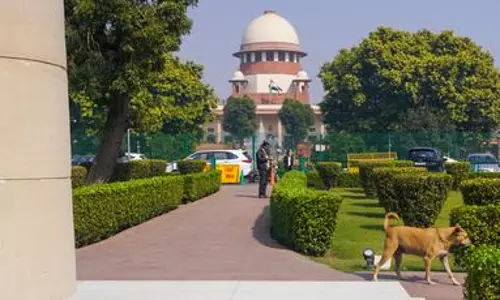 SIR: SC reserves verdict on pleas against SIR across several states