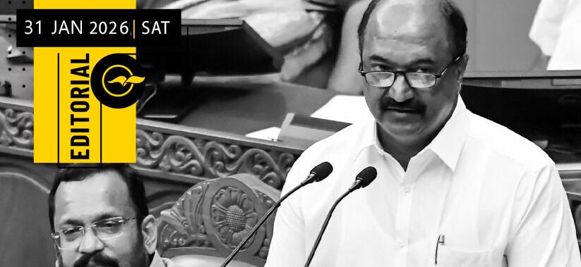 What the Economic Survey says