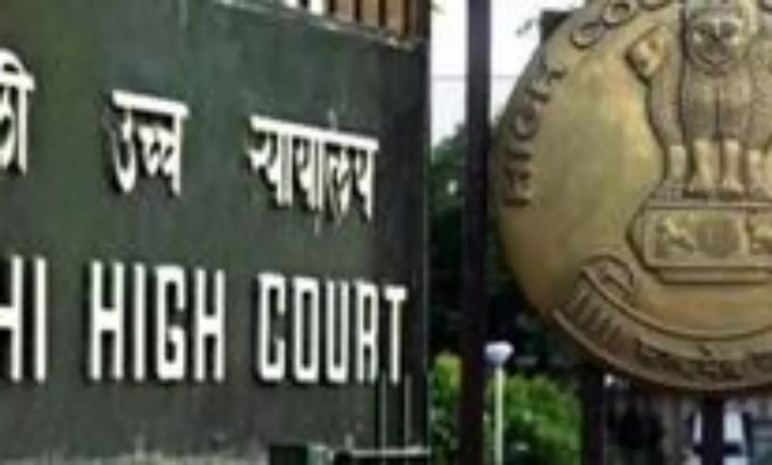 Delhi HC seeks response from govt on rules governing frozen embryo donation