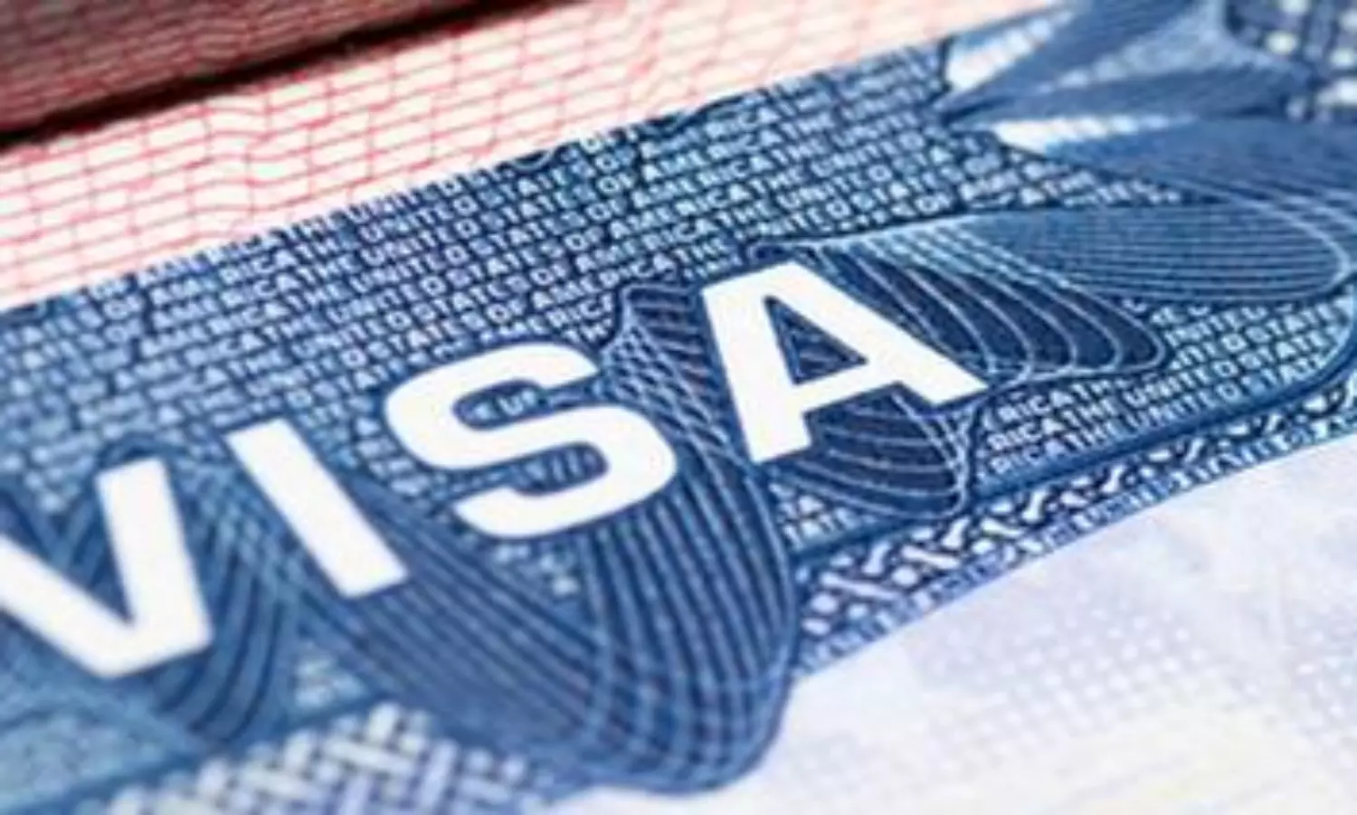US Republican legislator submits bill seeking to end H-1B visa program