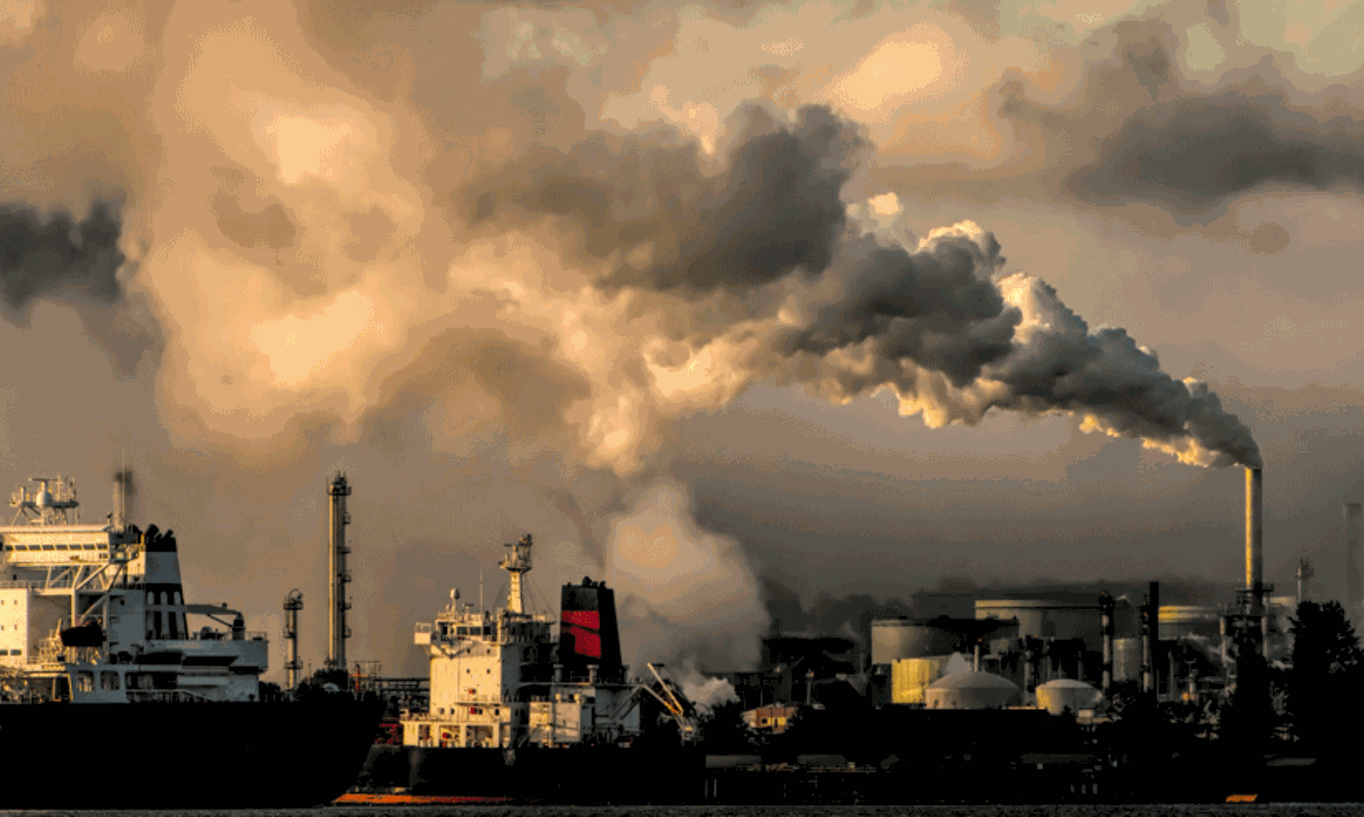 Malaysia, Japan plan carbon capture ignoring climatic benefit doubts