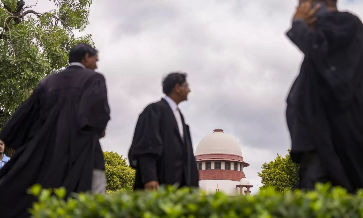 SC flags misuse of AI by lawyers, warns against fake judgements