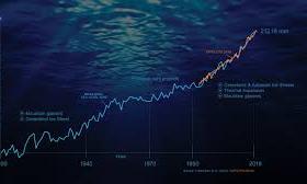 Global sea levels are higher than previously estimated due to modelling errors: study