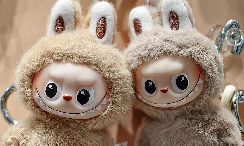 Sony Pictures to bring global toy sensation Labubu to big screen in CGI film