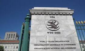 India to push WTO reforms, raise trade concerns at MC14 meet