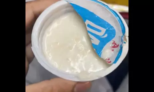 Railways fines vendor Rs 50 lakh, IRCTC Rs 10 lakh after worms found in Vande Bharat meal