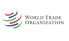 India warns WTO against misuse of transparency norms in trade disputes