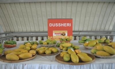 West Asia tensions slam India’s handicrafts, mango exports