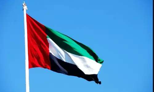 UAE intercepts 12 ballistic missiles, 2 cruise missiles and 19 drones in 24 hours