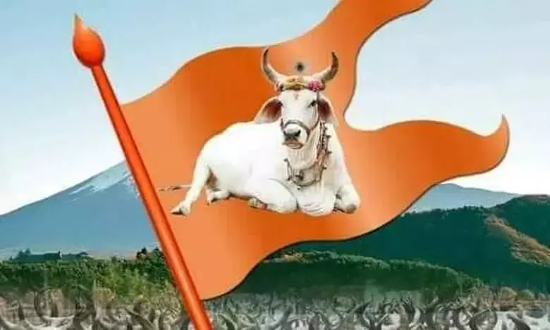 Fear, flight, silence: How Gujarat’s cow laws threaten Muslims