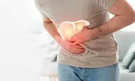 fatty liver fatty liver