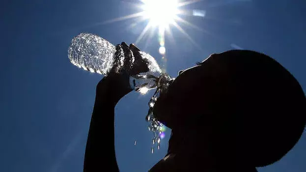 Scorching summer too has to pass