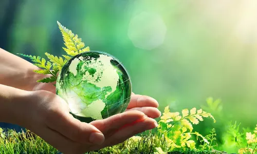 UAE announces 100 million mangrove target on Earth Day