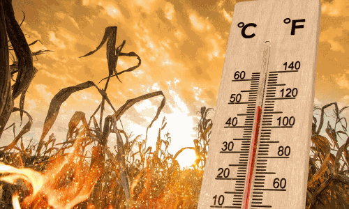 India bakes: 95 of world’s 100 hottest cities fall within its borders