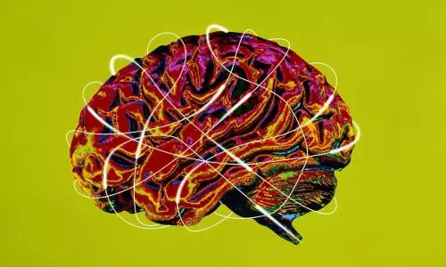 More than one thing: the power of living a multi-dimensional life