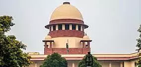 TVK MLA files plea in SC after Madras HC bars him from floor test, hearing tomorrow TVK MLA files plea in SC after Madras HC bars him from floor test, hearing tomorrow