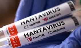 Thailand declares hantavirus a dangerous communicable disease