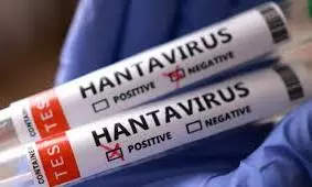hantavirus hantavirus